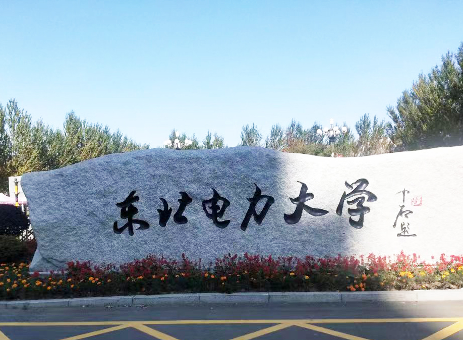 东北电力大学采购南京麻豆影视的DZ-DSC300C麻豆影视app黄